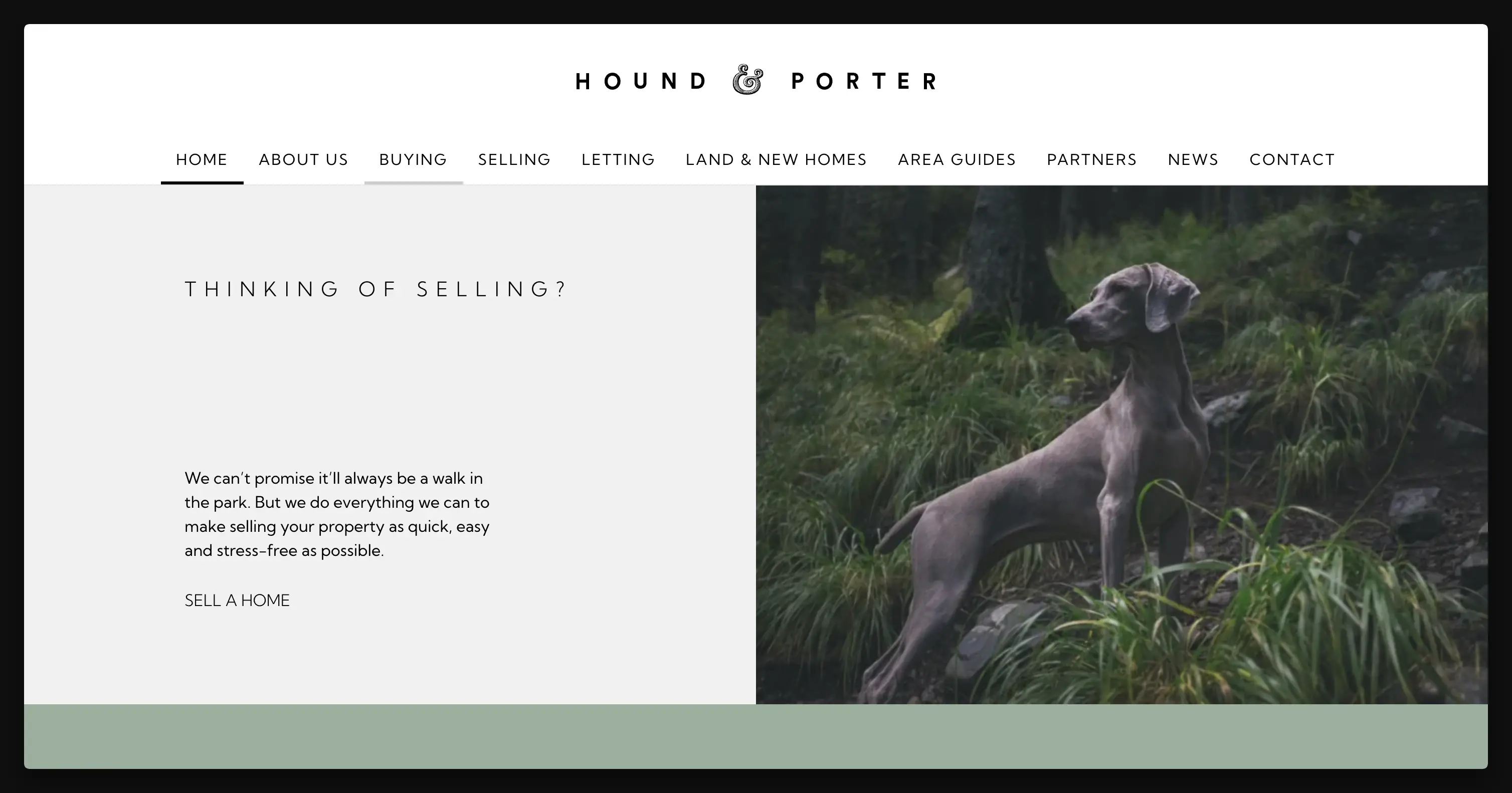 Hound & Porter