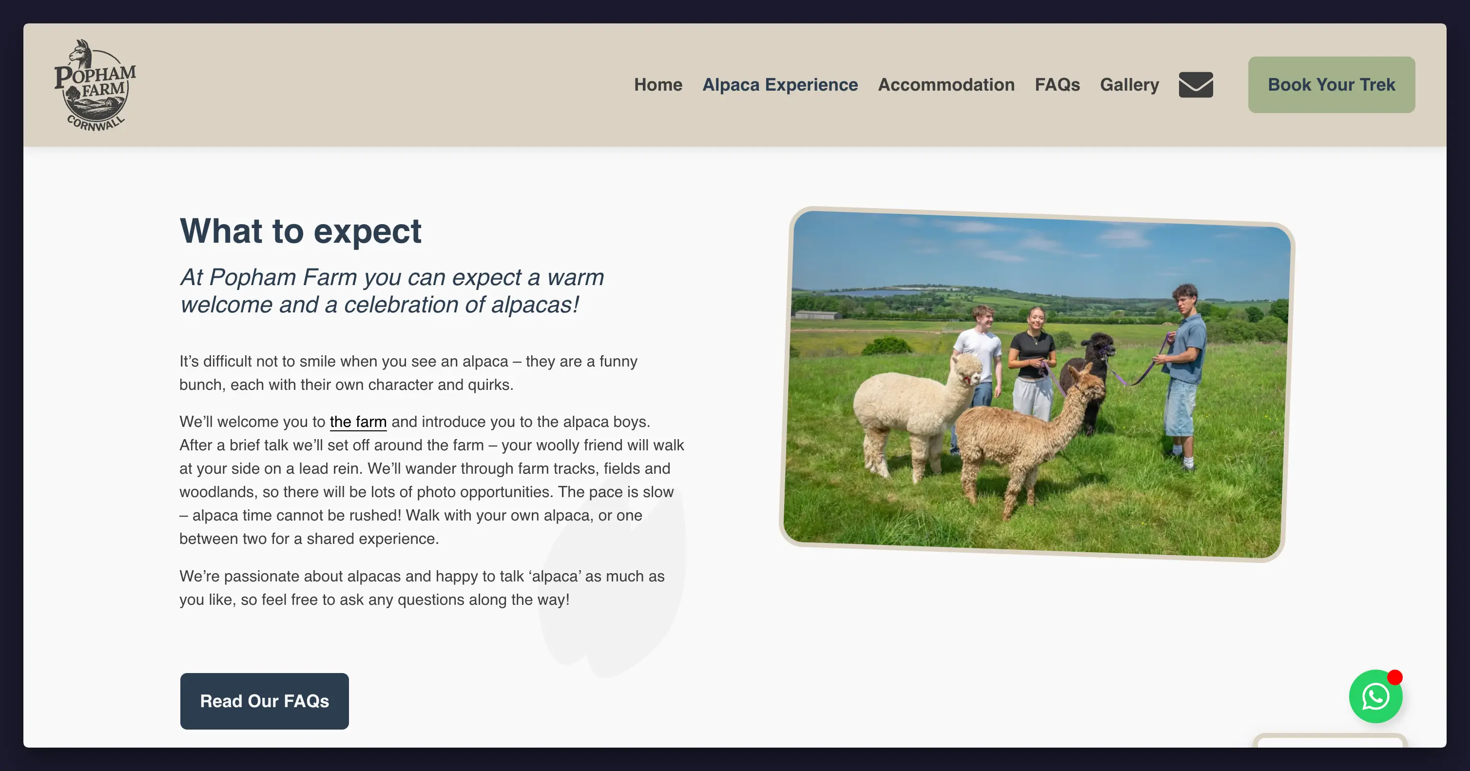 Popham Farm Alpaca Trekking