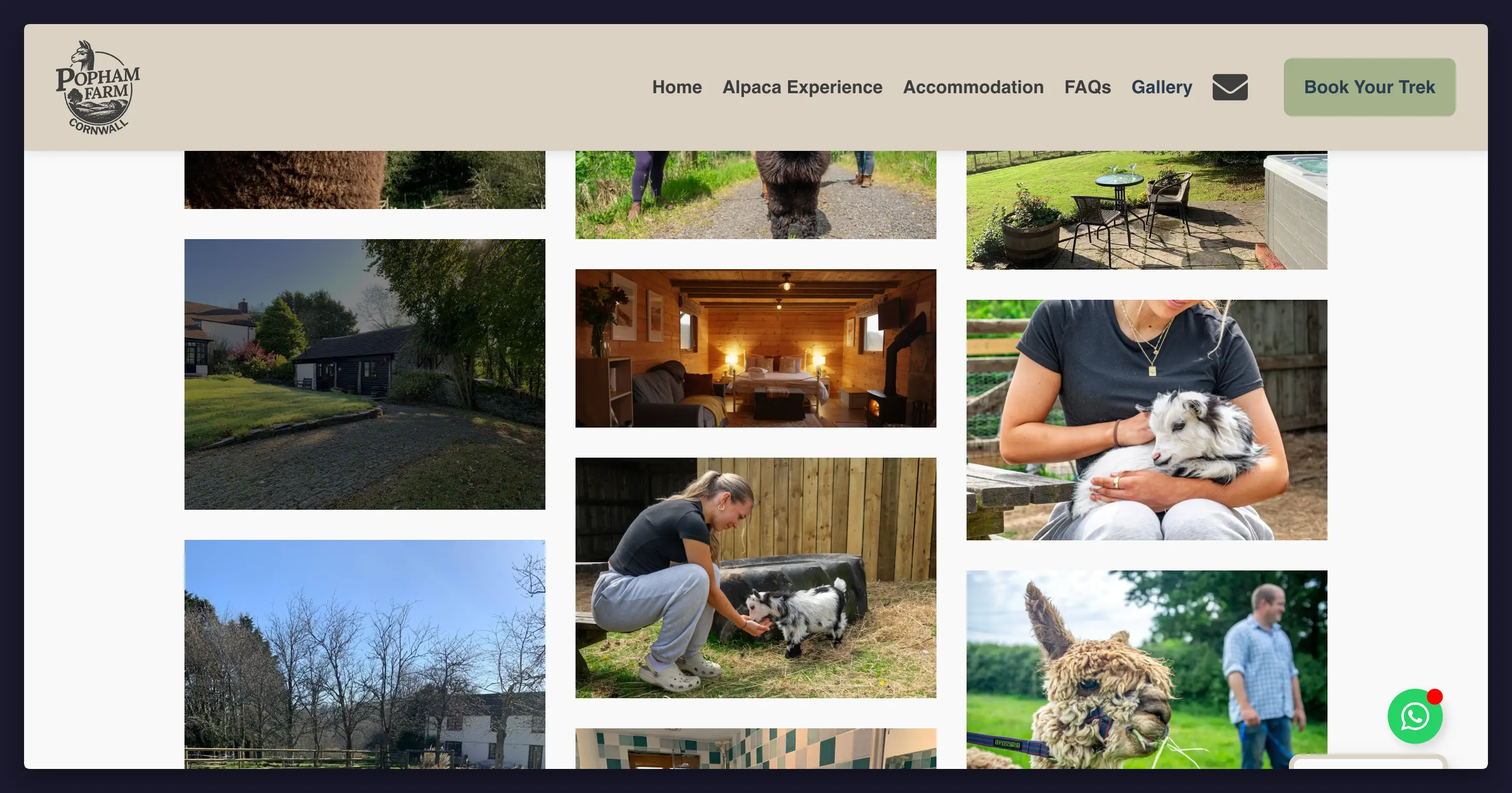 Popham Farm Alpaca Trekking